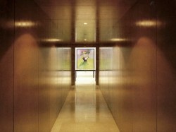 grijalba-arquitectos-concurso- interiorismo-coava-Valladolid- foto 2