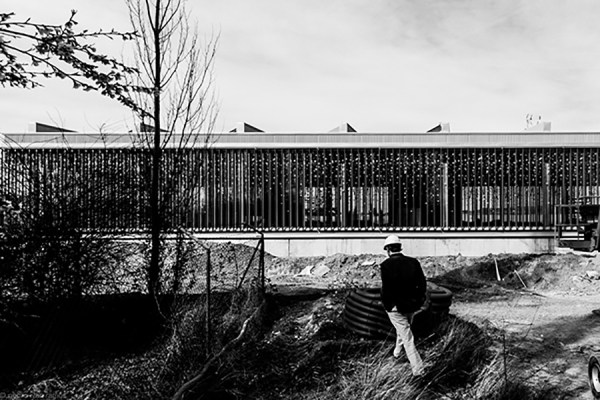 imagen Pedro Ivan Ramos